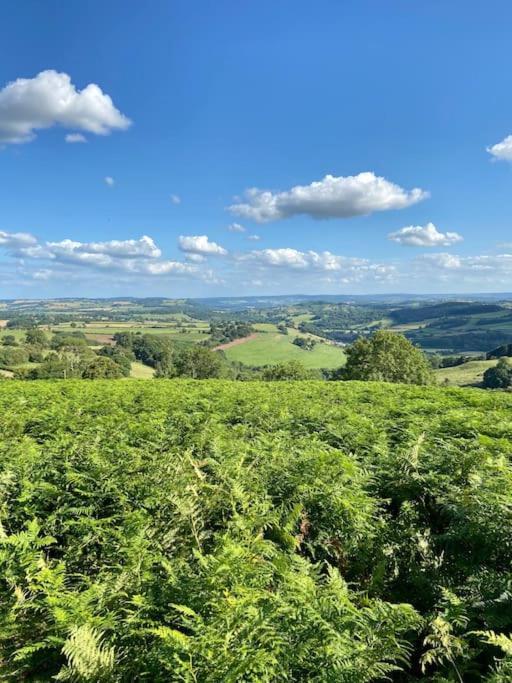 The Mill Stylish Rural Apartment With Beautiful Views Welsh Newton Common Exterior photo